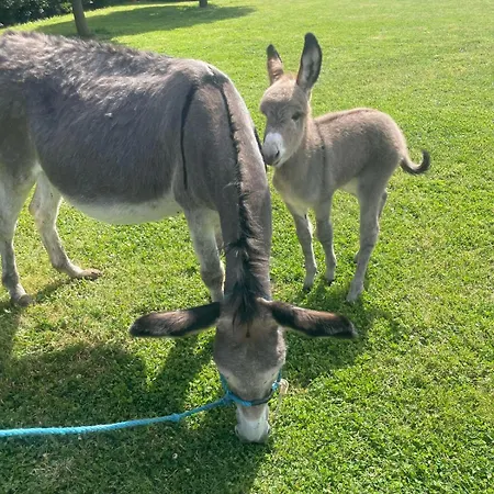 I Tre Tigli Lantgård